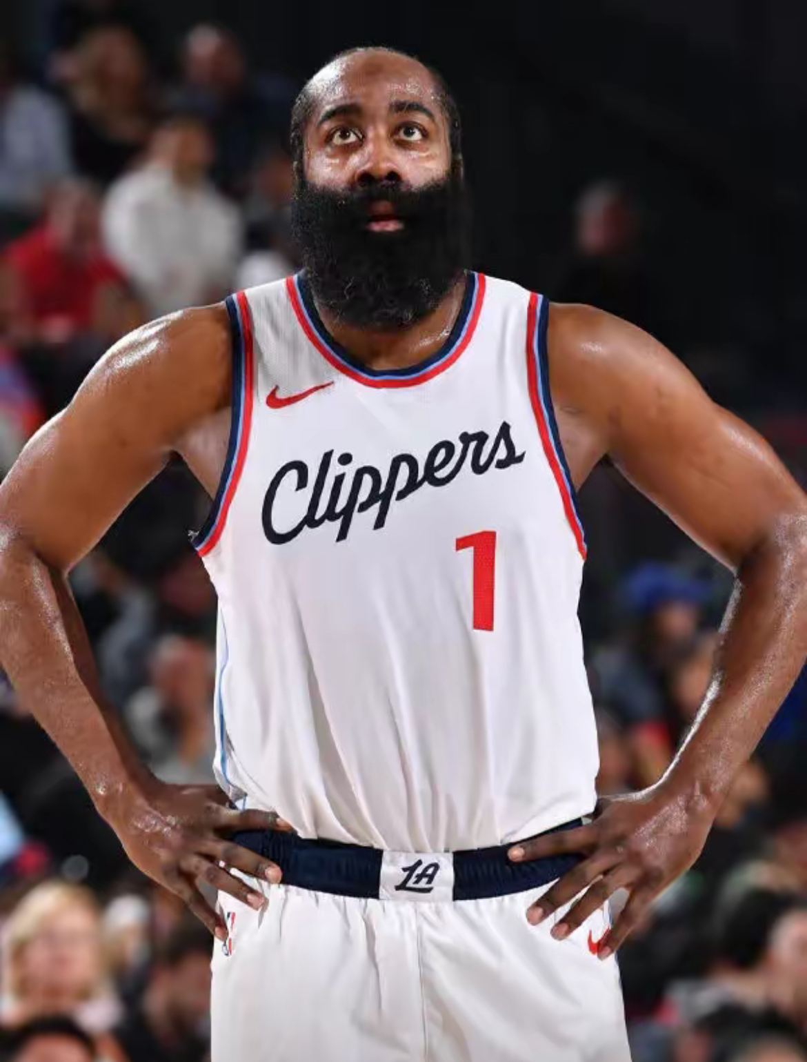 华体会培训-包含快船后卫个人表现出色,刷新生涯纪录的词条